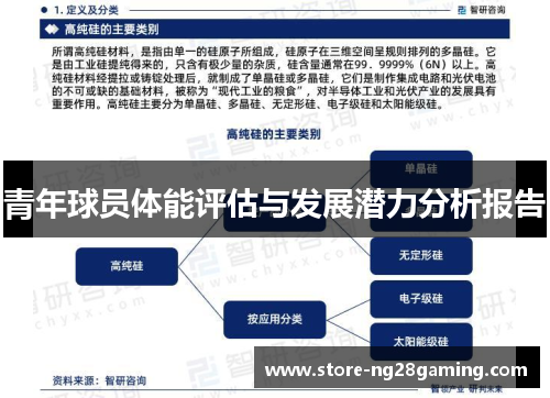 青年球员体能评估与发展潜力分析报告
