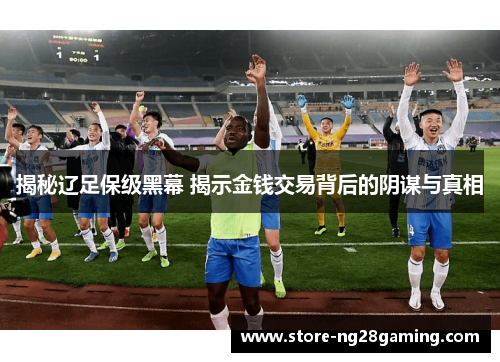 揭秘辽足保级黑幕 揭示金钱交易背后的阴谋与真相