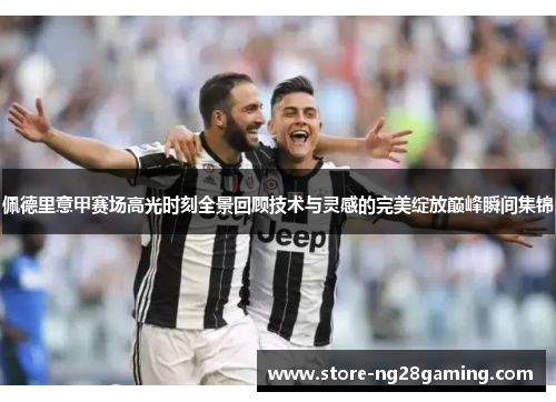佩德里意甲赛场高光时刻全景回顾技术与灵感的完美绽放巅峰瞬间集锦