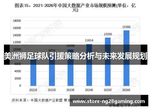 美洲狮足球队引援策略分析与未来发展规划